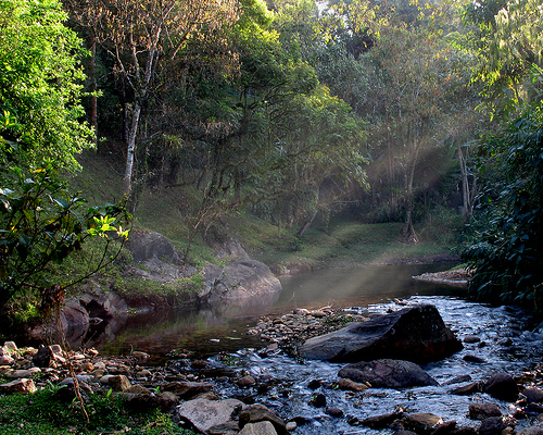 Itatiaia National Park (Parque Nacional do Itatiaia)